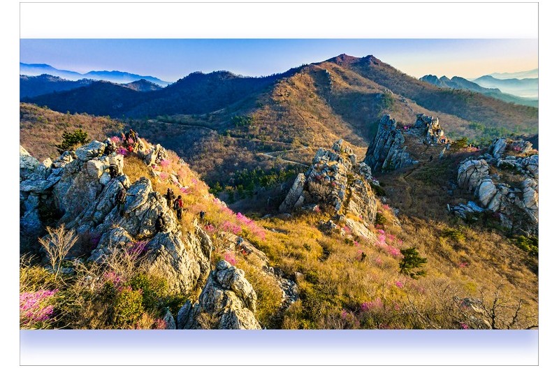 다른 시선[주작]