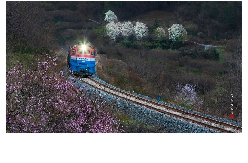 봄날의 고향열차