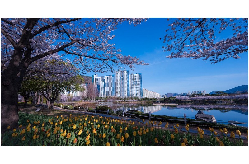 아름다운 봄날에 ------