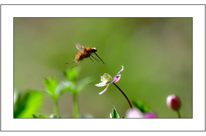 남방꽃향기따라,,,