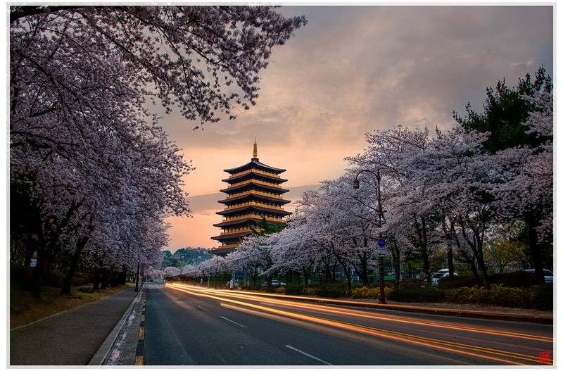 황릉원 중도타워