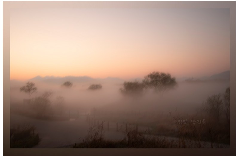 다녀왔읍니다 화포천