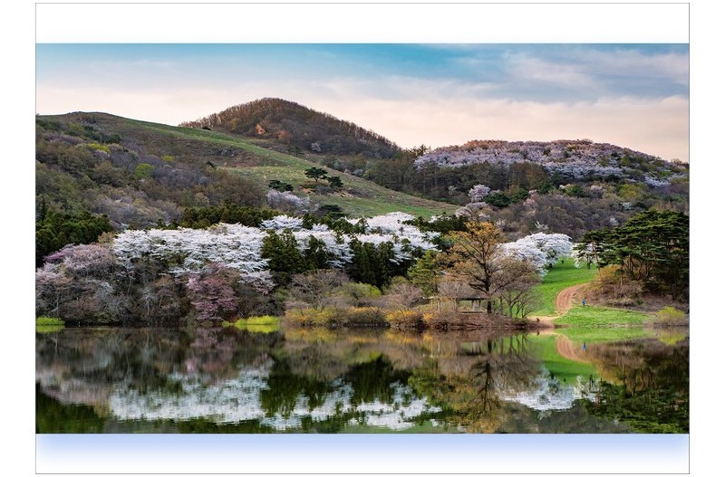 아름다운 봄날의 기억