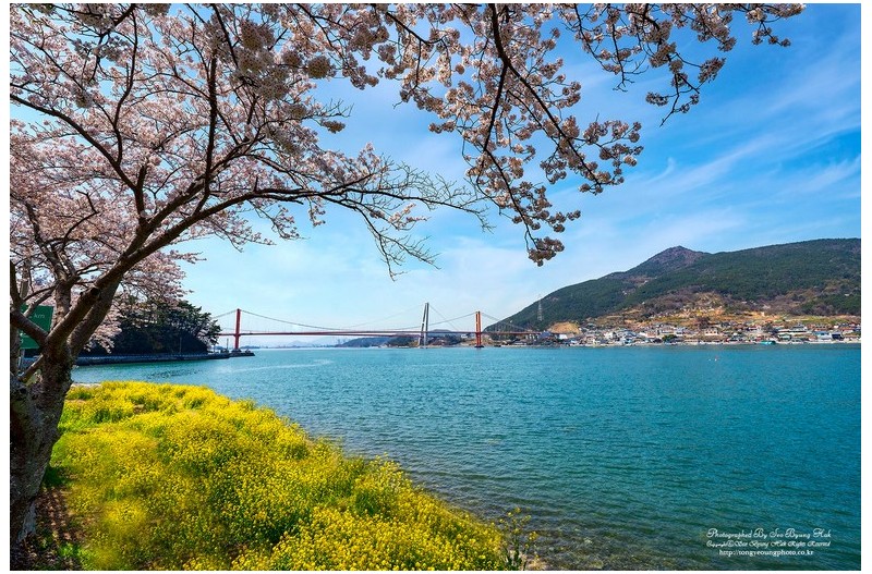 노량대교가 보이는 풍경