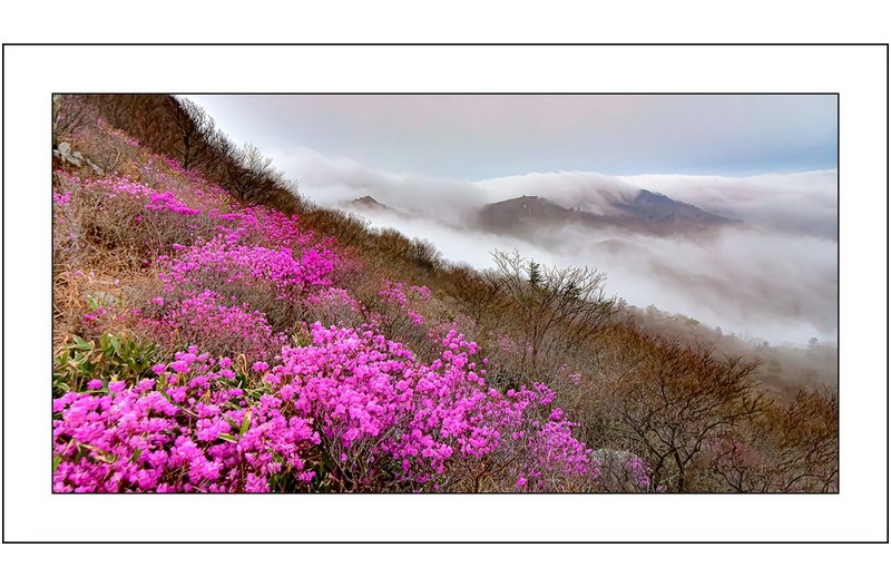 아침이오는소리,,,