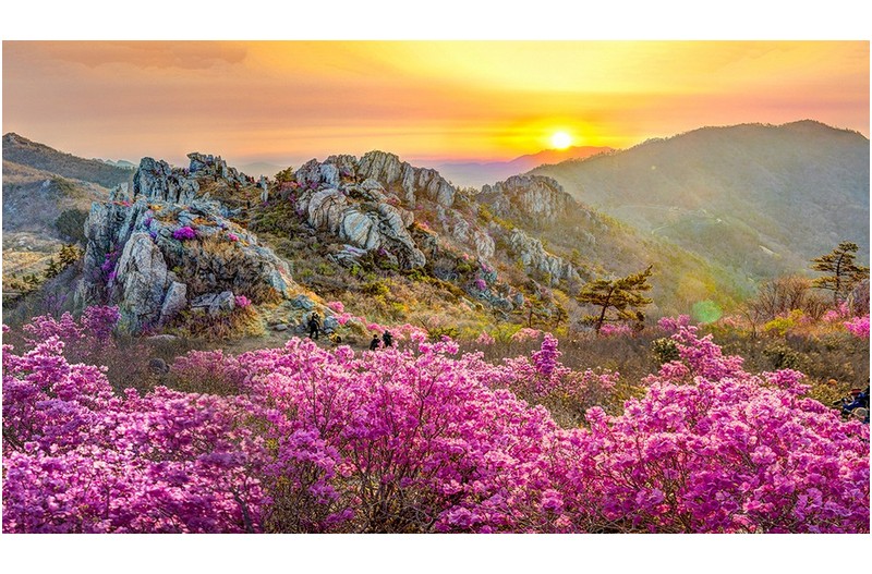 주작산(파노라마)