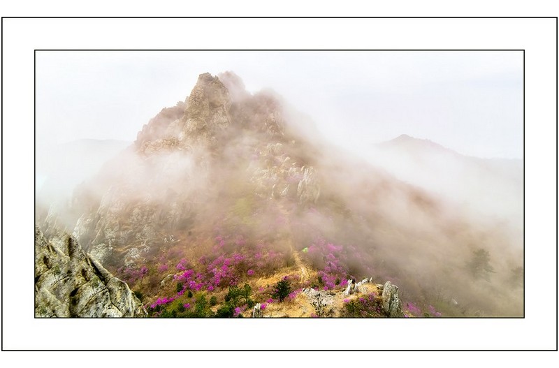 운해덮인 남도의야산,,,