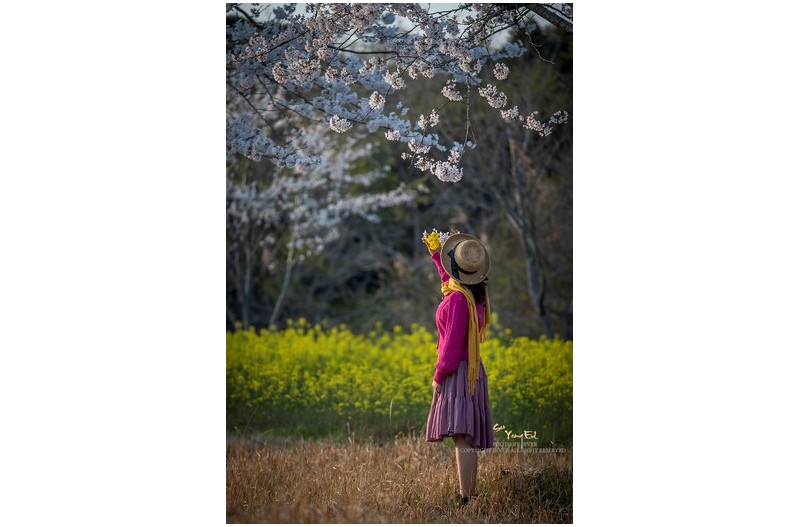 봄의 향기를 찿아