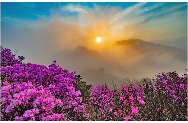 봄이라,,,창고에서 꺼내 봅니다