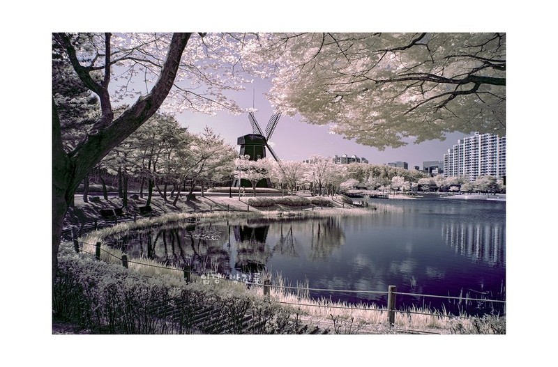 적외선사진으로보정햇읍니다