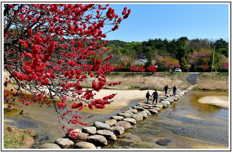 복사꽃 향기 찿아 온 가족