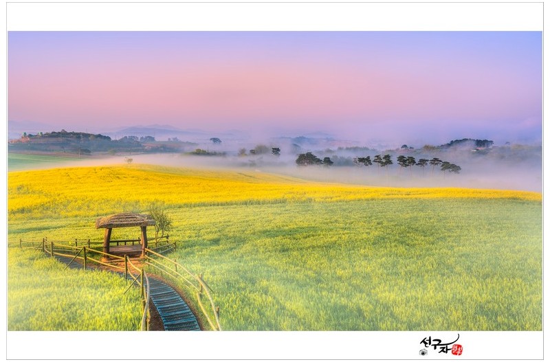 학원농장의 아침