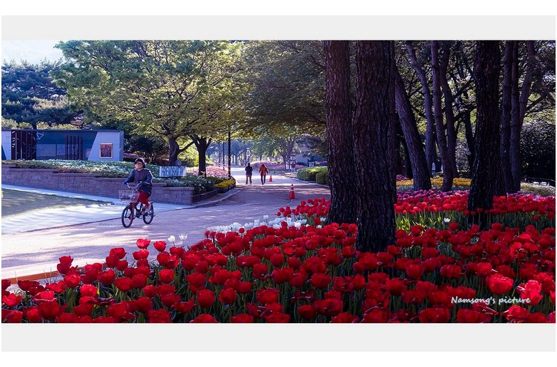 공원의 아침 -----