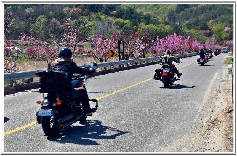 바이스클 동호회 여행