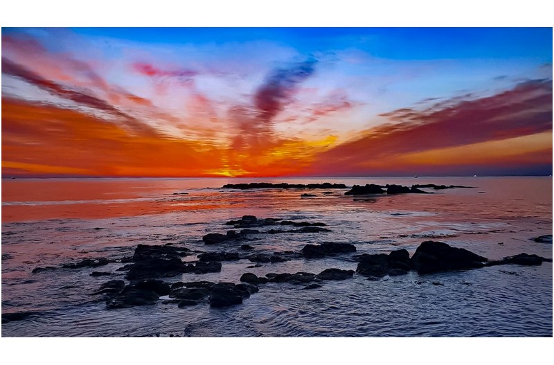 스마트 폰 으로