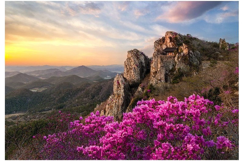 마음의 길을 묻다.