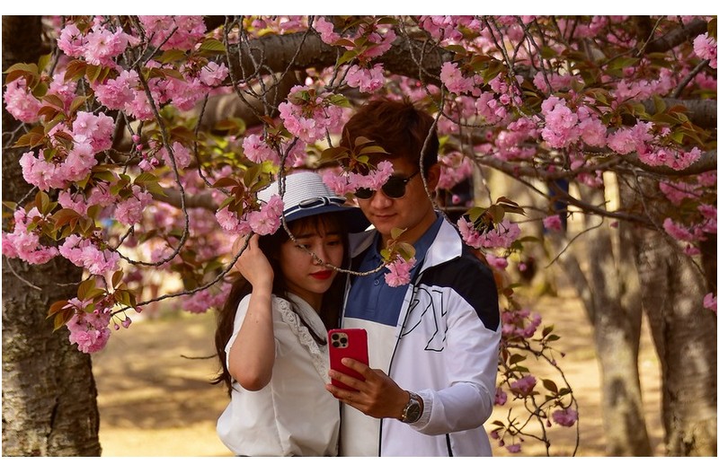 꽃보다 아름다운 여인들