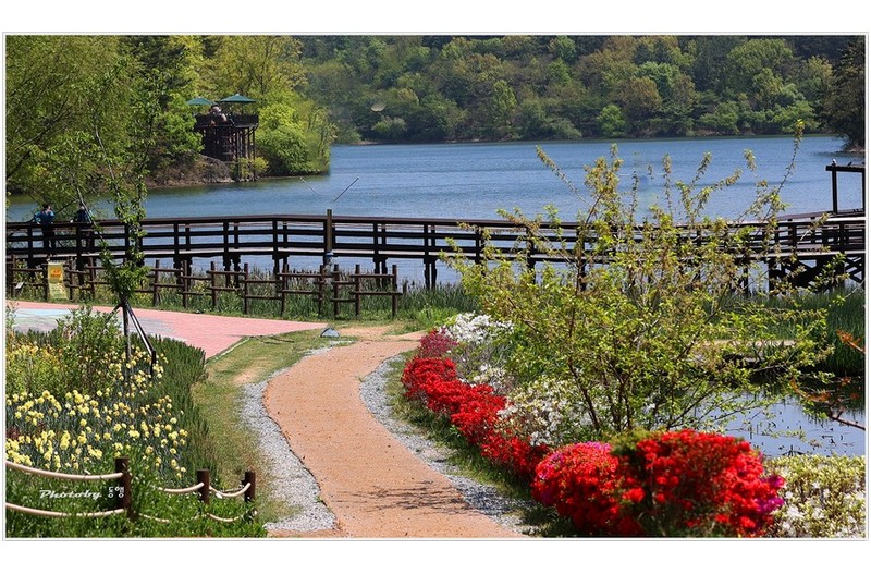 청딱따구리 꽃길  ㅡㅡㅡㅡㅡㅡㅡㅡㅡㅡㅡㅡ