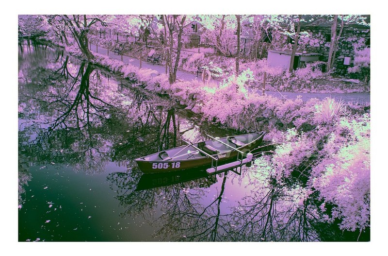 경주 산내 국민수련원