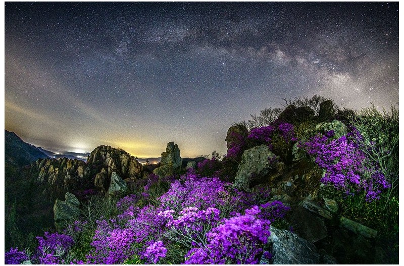 아름다운 봄 밤