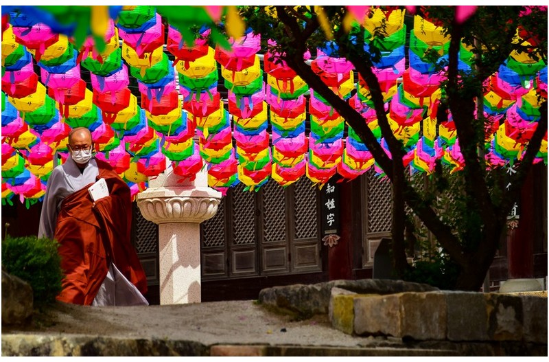 새 희망의 등불이 되게 하소서...