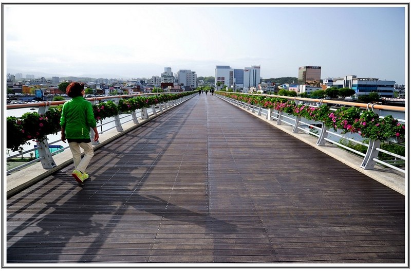 남대천 에 꽃 다리