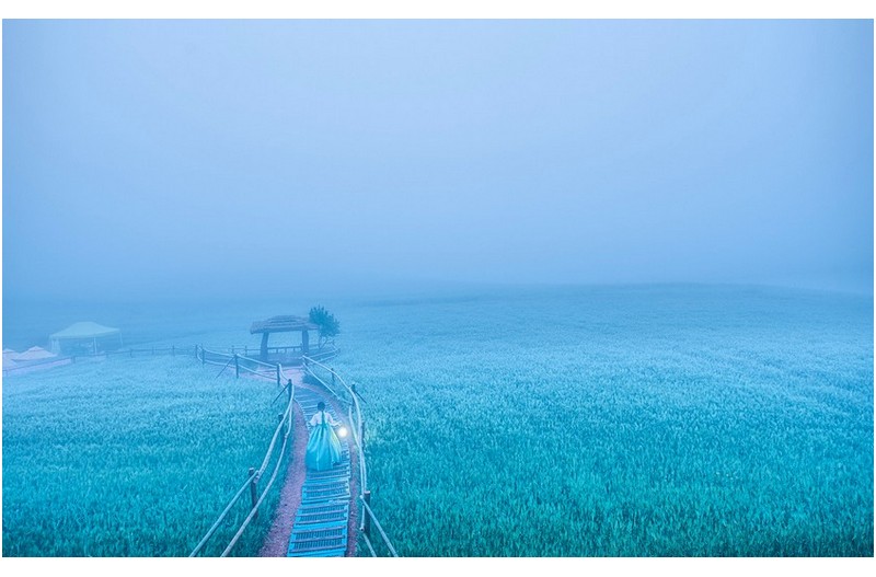 님은 오시려나.