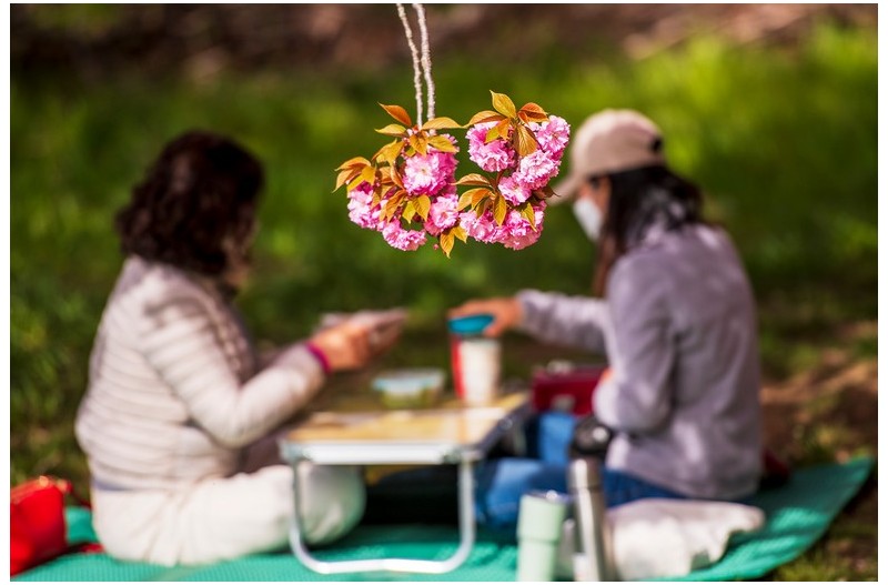 올핸 꽃도 못 보고 지나가네요