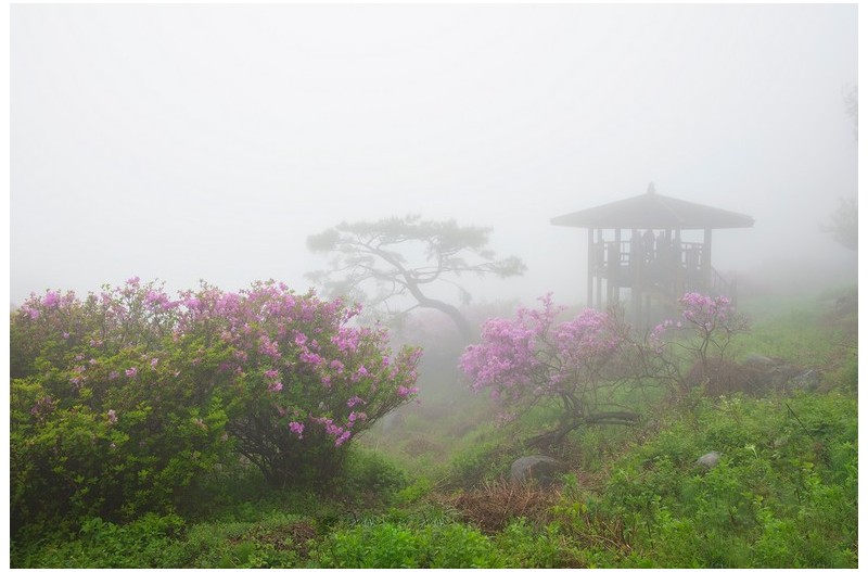 황매산 안개