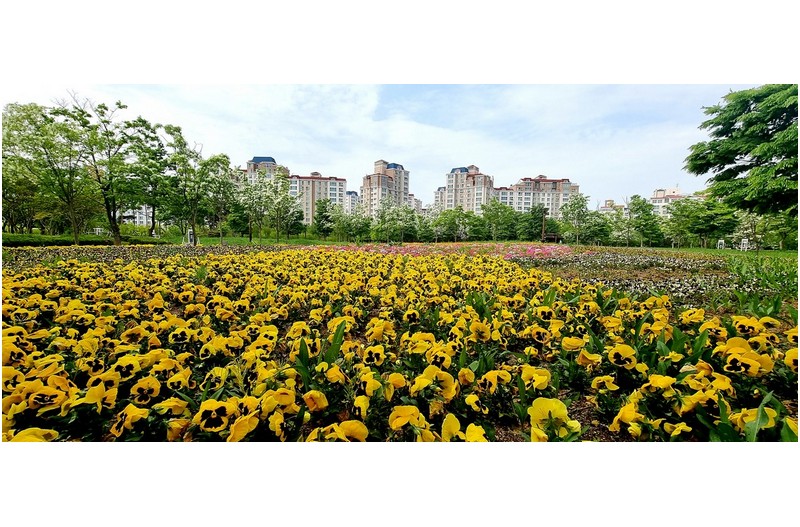 4월의 화단에서