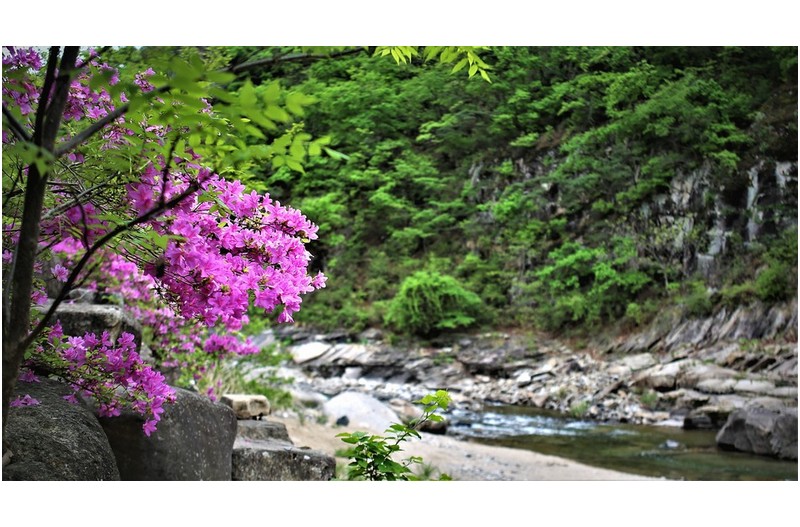 어느 시골길에서