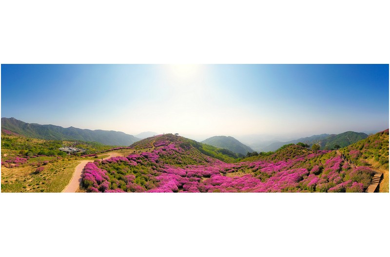 황매산 파노라마
