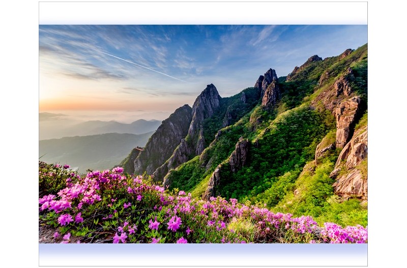 산에산에 꽃이피네