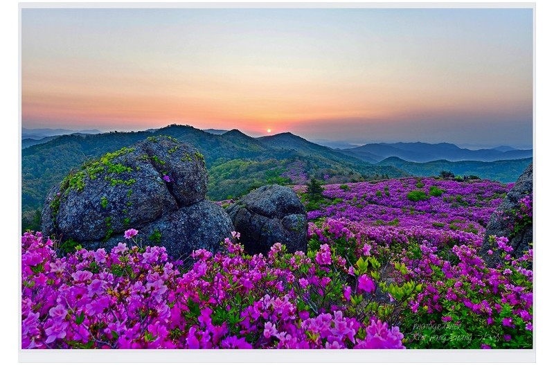 ): 초암산 576 ^^~