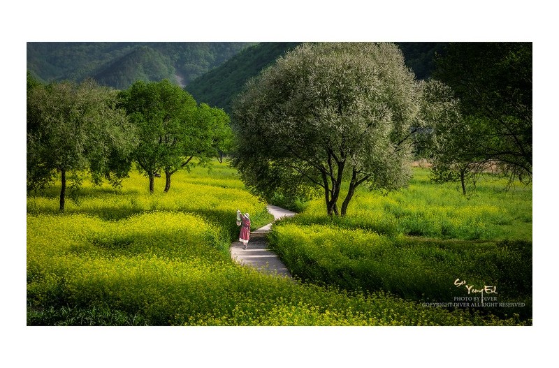 푸르름이 주는 행복 #4