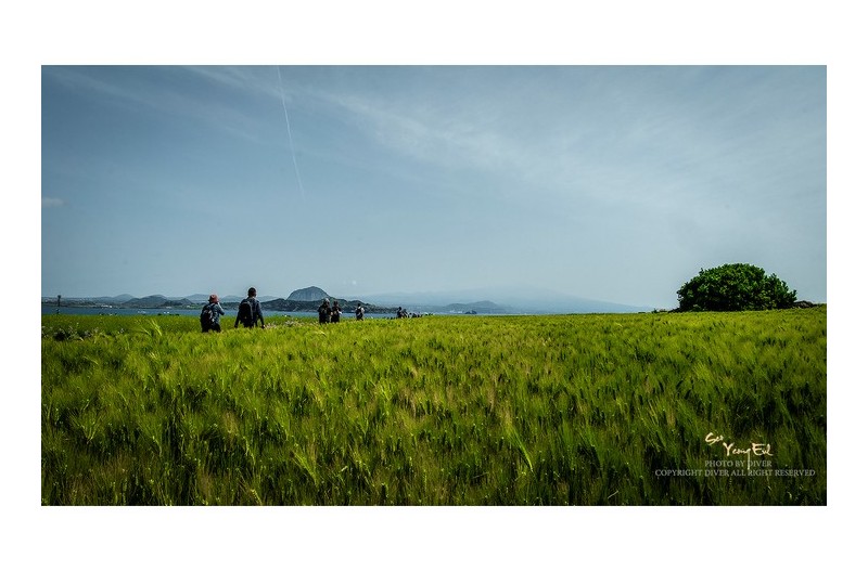 다시 찿은 가파도