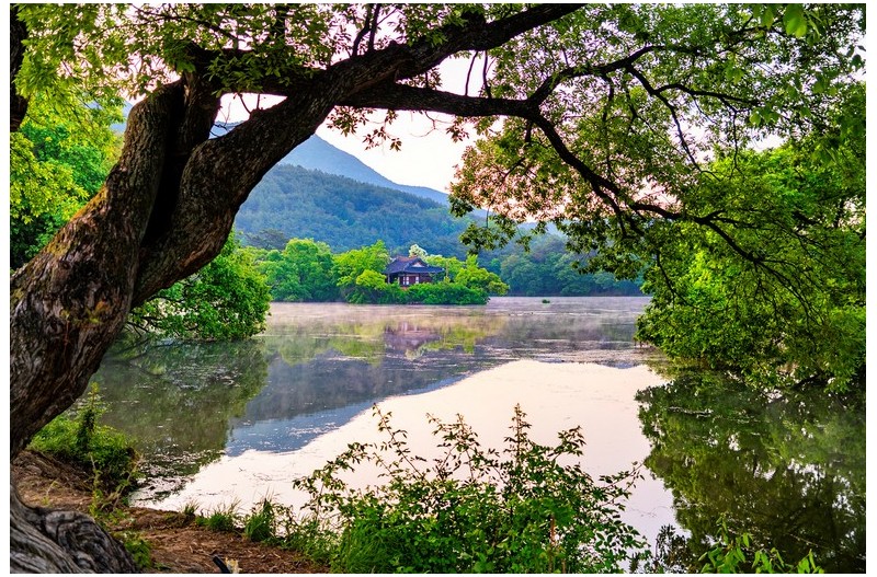 호수의 봄 풍경