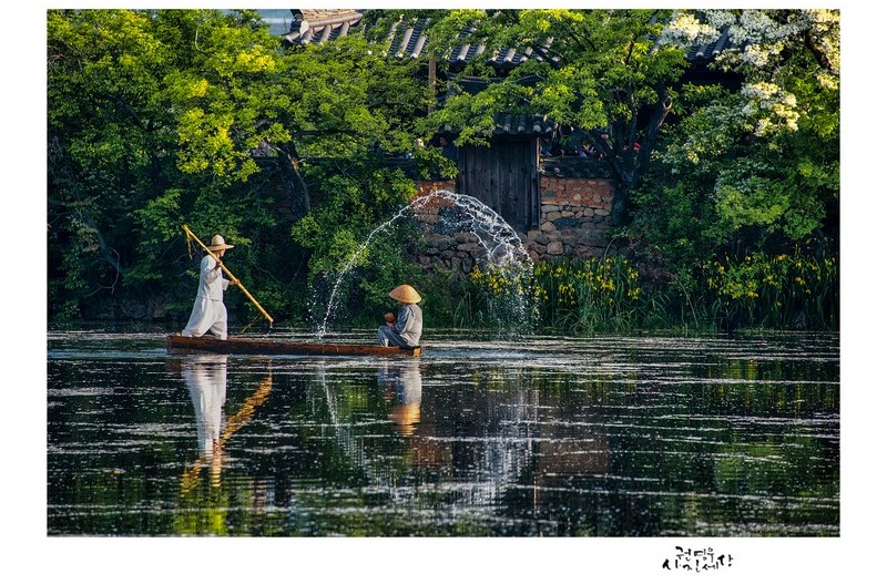 위양지 잠시 다녀왔습니다