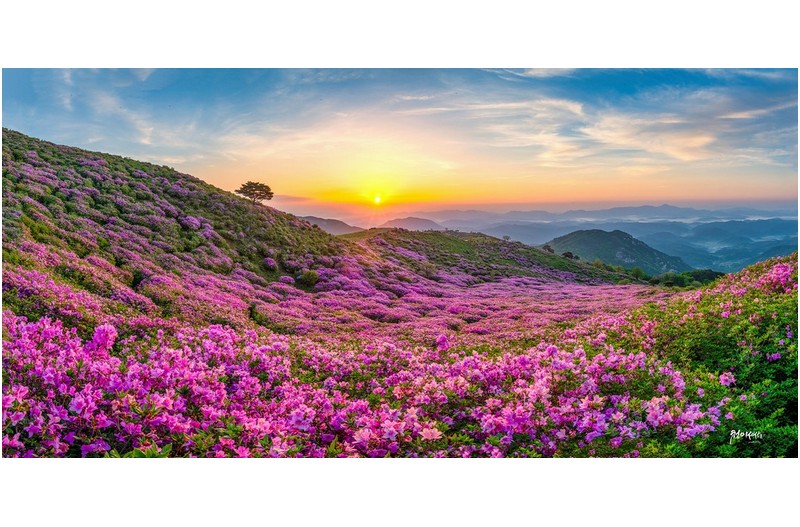 황매산 아침산책