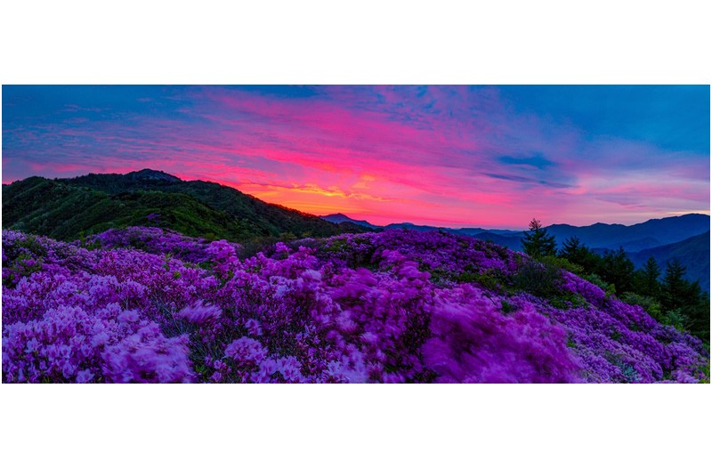 바래봉의 오늘아침