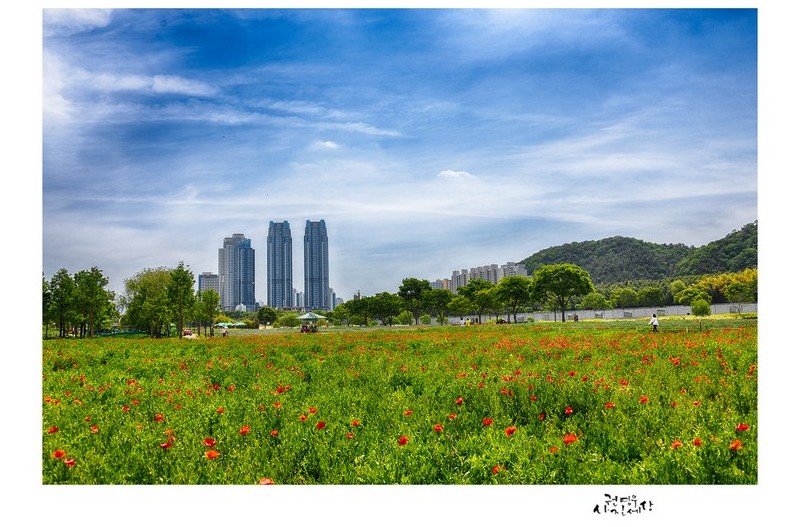 태화강 국가정원