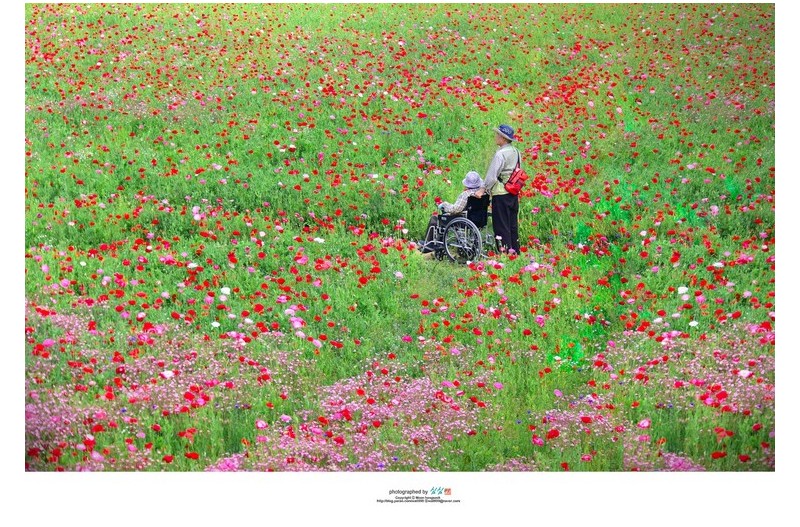 20220509#아름다운 봄날에...