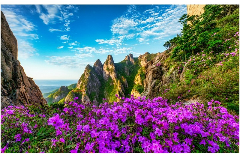 월출산 아침산책