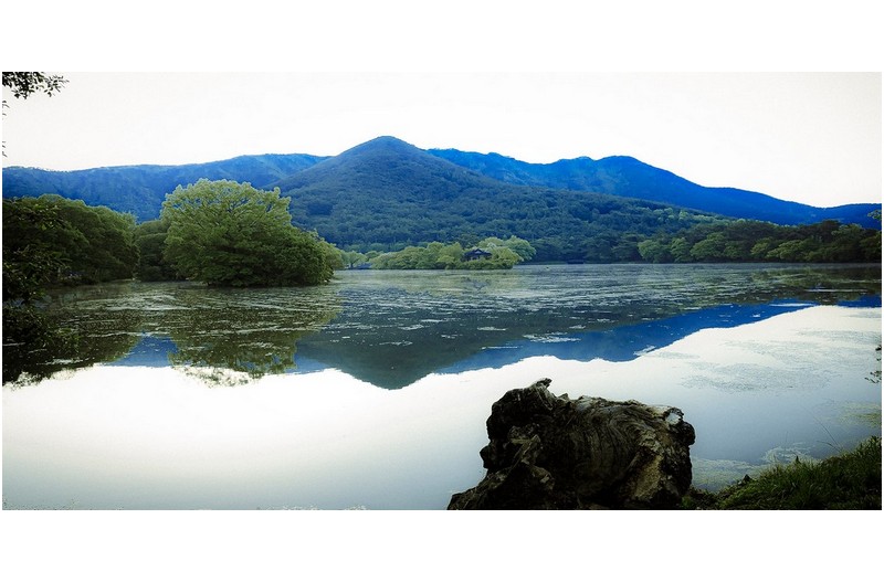 아름다운 위양지 -----