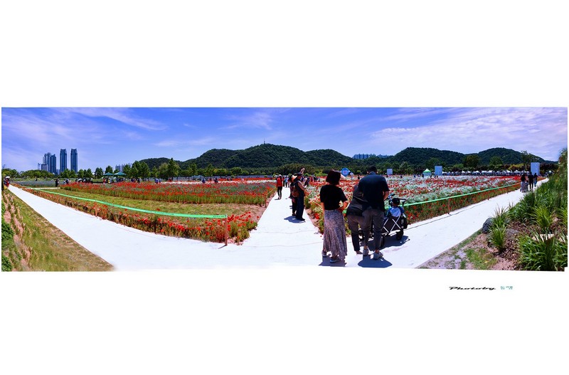 태화강  ㅡㅡㅡㅡㅡㅡㅡㅡㅡㅡㅡㅡ