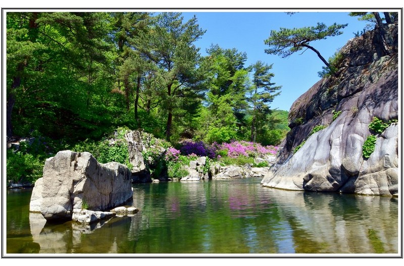 막바지 수달래 계곡