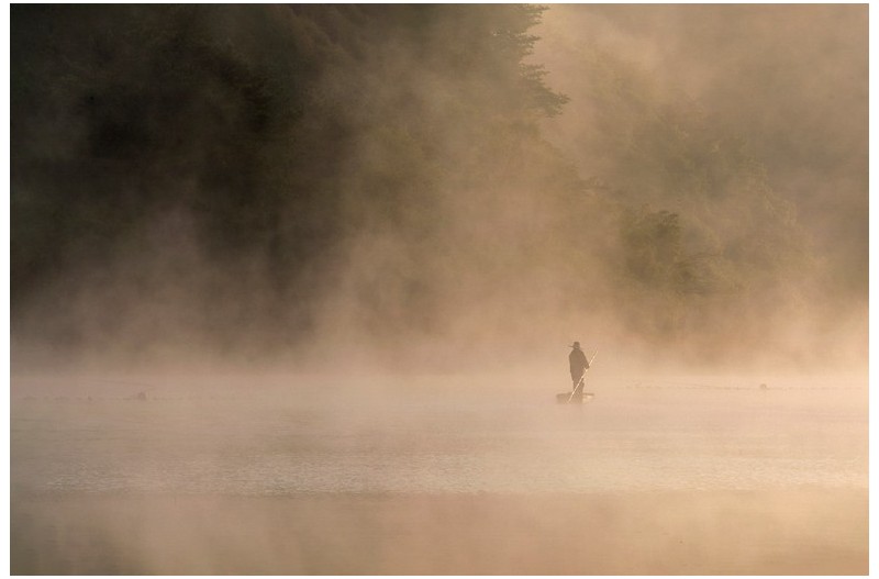 안개 속으로 ...!