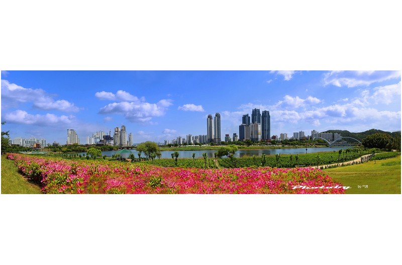 태화강  태화루  ㅡㅡㅡㅡㅡㅡㅡㅡㅡㅡ