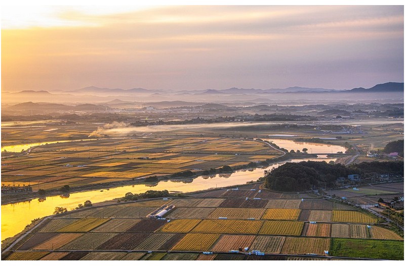 아침 들녘
