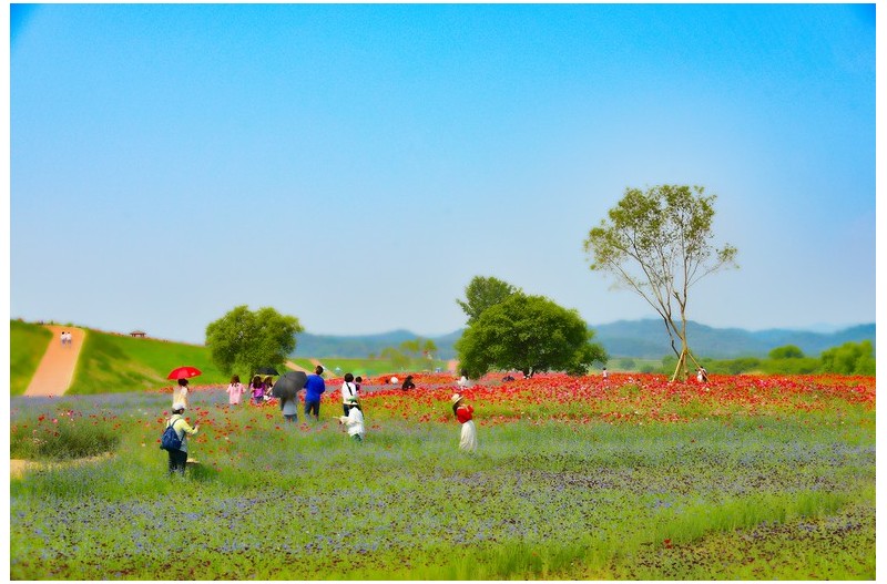 꽃동산 꿈동산 함안
